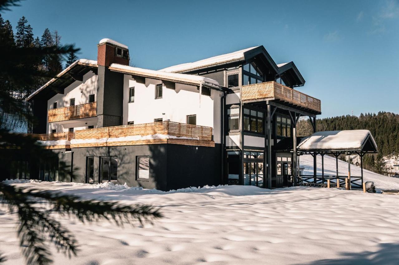 Mountainlodge Am Oetscher لاكينهوف المظهر الخارجي الصورة