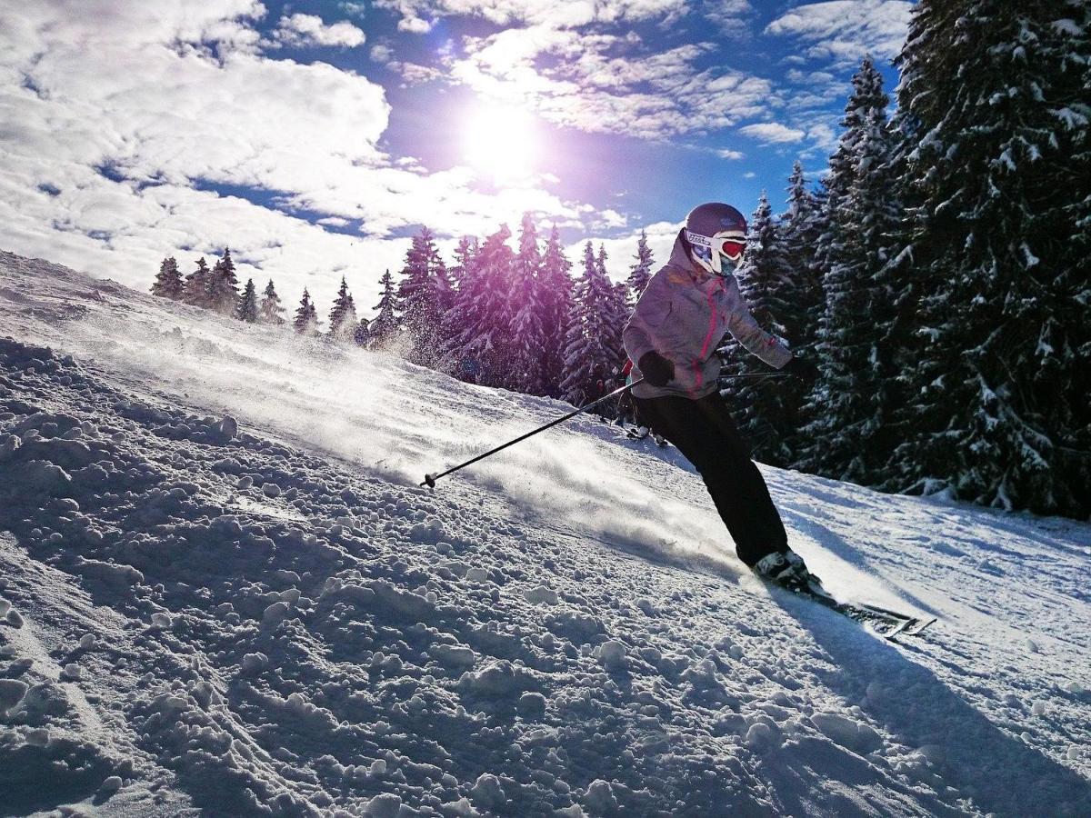Mountainlodge Am Oetscher لاكينهوف المظهر الخارجي الصورة