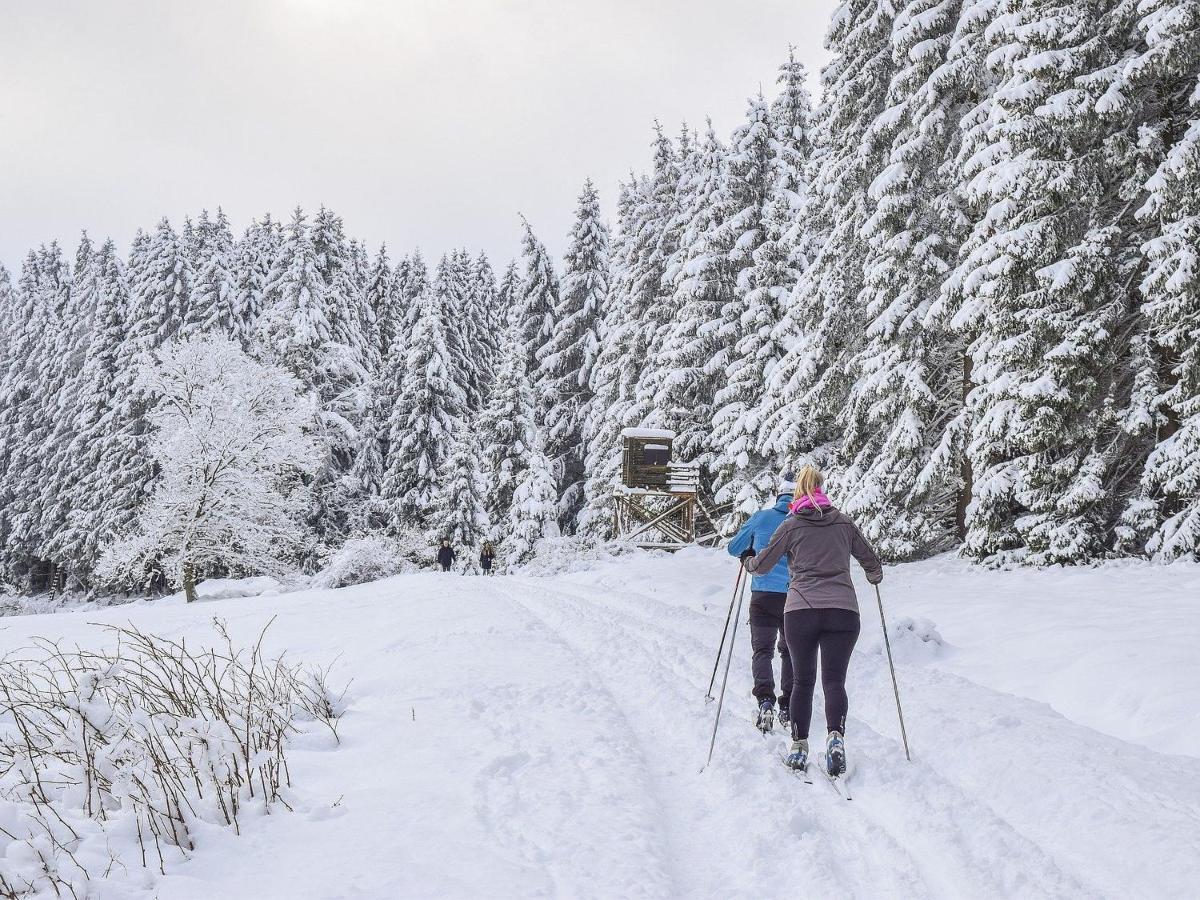 Mountainlodge Am Oetscher لاكينهوف المظهر الخارجي الصورة