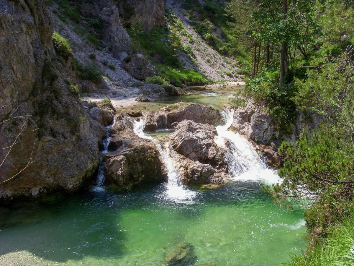 Mountainlodge Am Oetscher لاكينهوف المظهر الخارجي الصورة