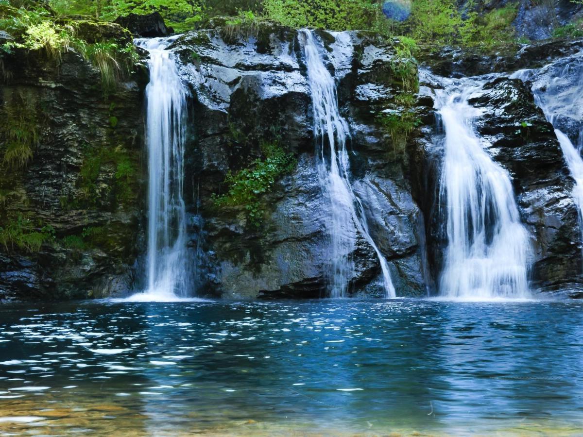 Mountainlodge Am Oetscher لاكينهوف المظهر الخارجي الصورة